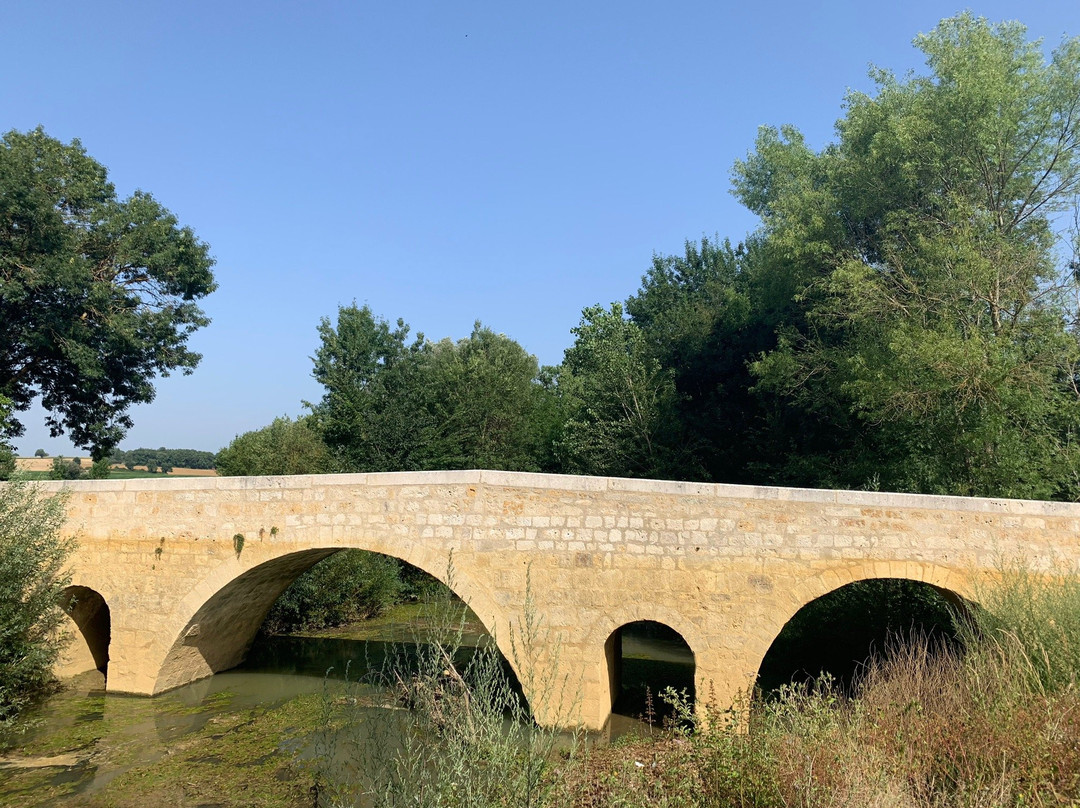 Pont De Lartigues-Larressingle必去景点