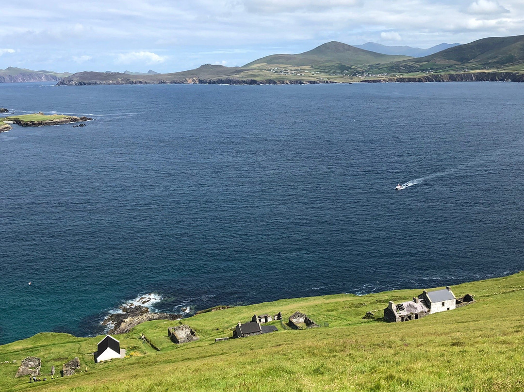 Blasket Islands Eco Marine Tours景点图片
