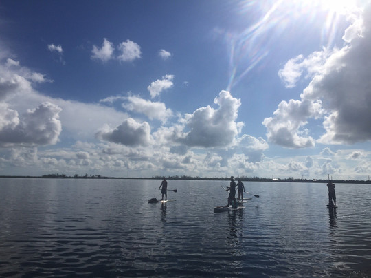 Red Mangrove Kayaking-基韦斯特必去景点