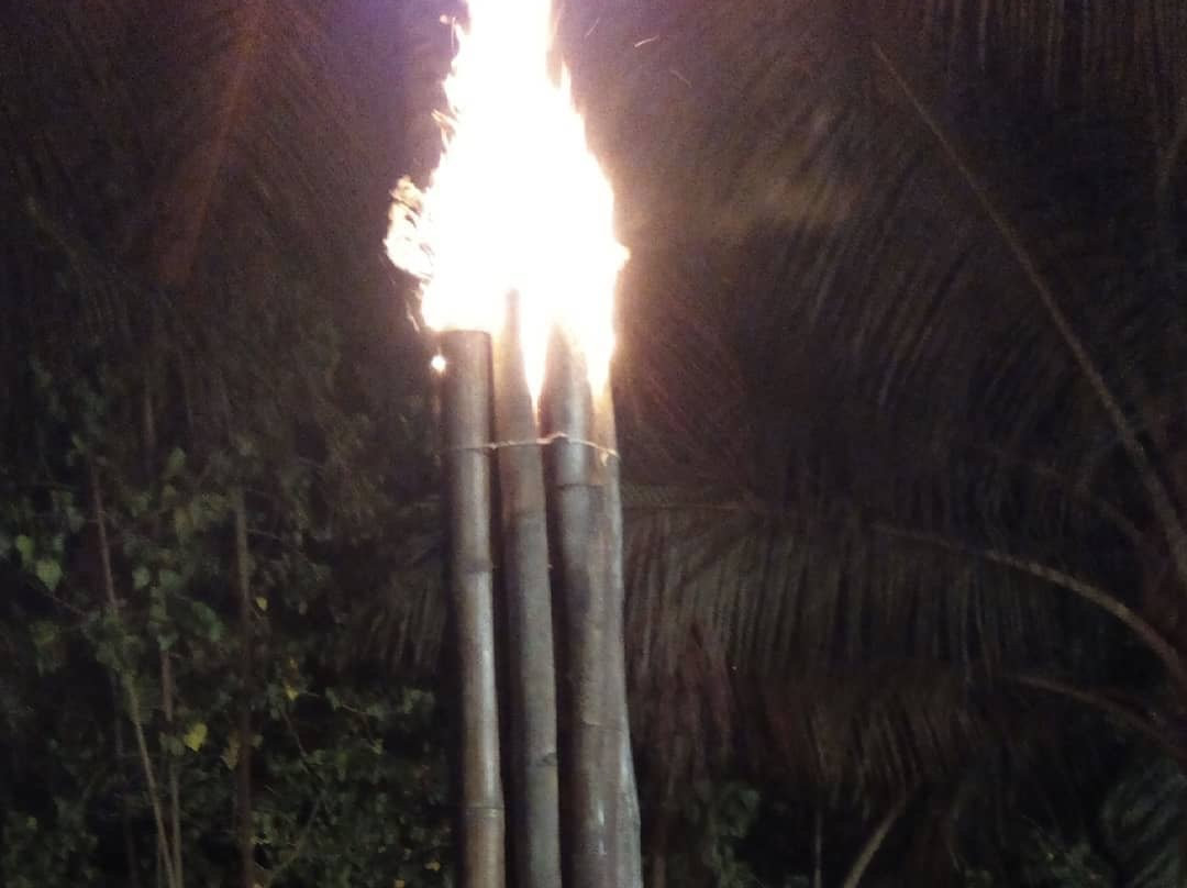 Busua Paradiso Hotel & Spa主图