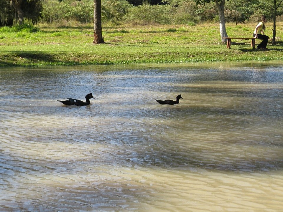 Sitio Castelinho主图