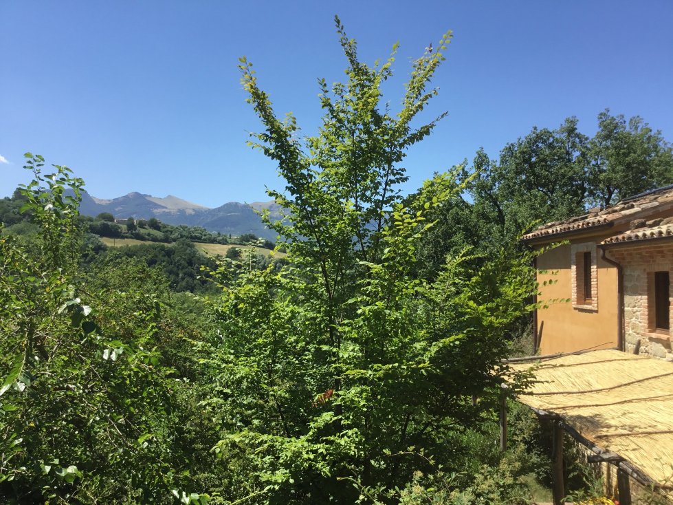 Azienda Agrituristica Terra di magie-浴室