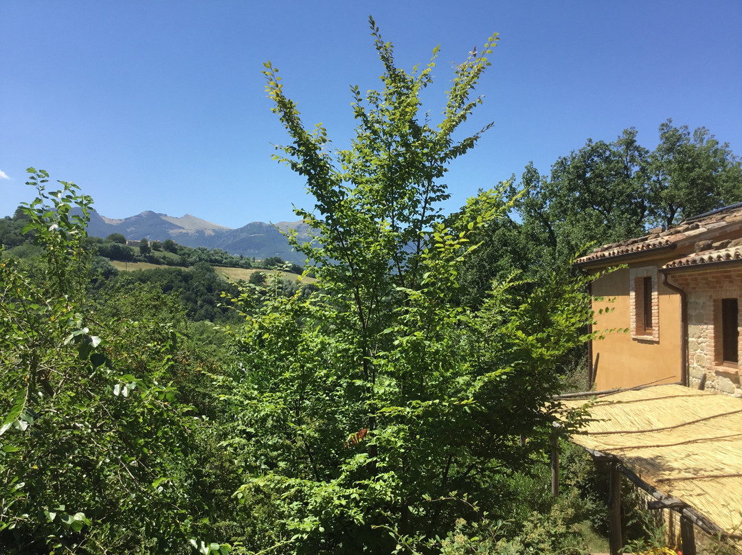 Azienda Agrituristica Terra di magie主图