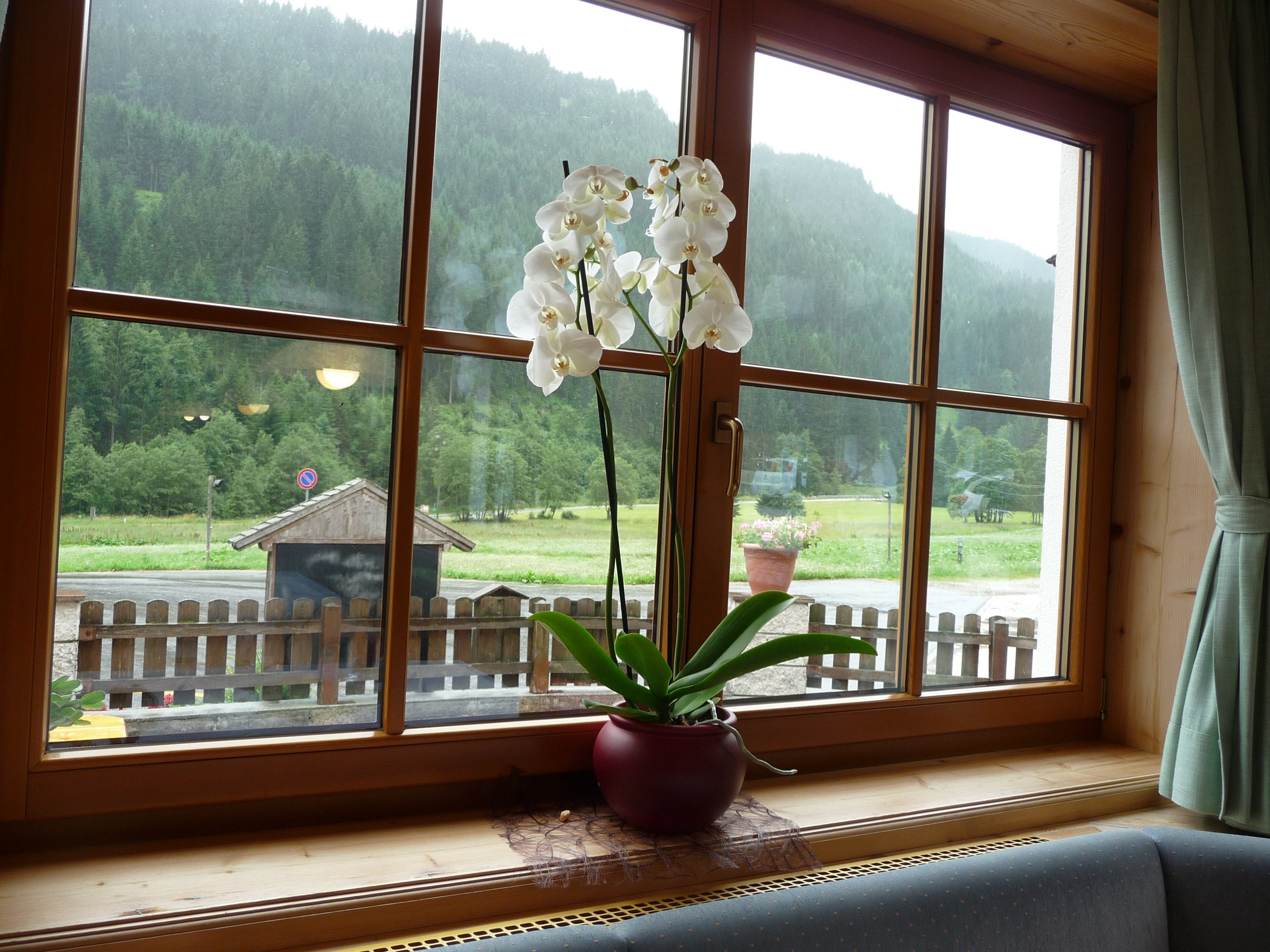 Hotel Larchhof Ratschings-酒店景观