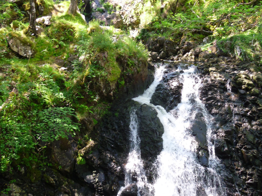 Rhaeadr Ddu and Coed Ganllwyd Walk景点图片