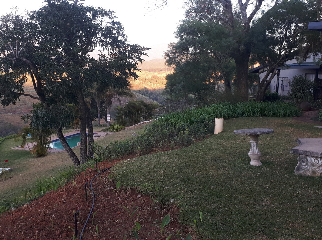 Granny Dot's Country Spot主图