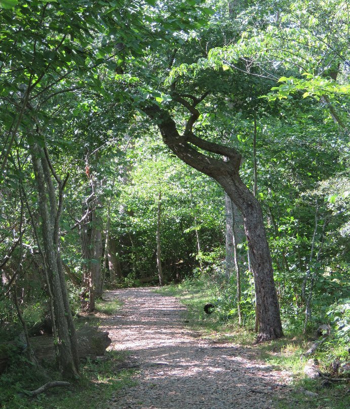 Dalby Söderskog National Park-Dalby必去景点