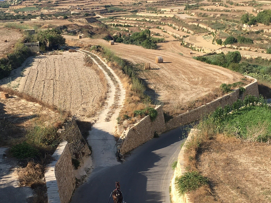 The Lighthouse主图