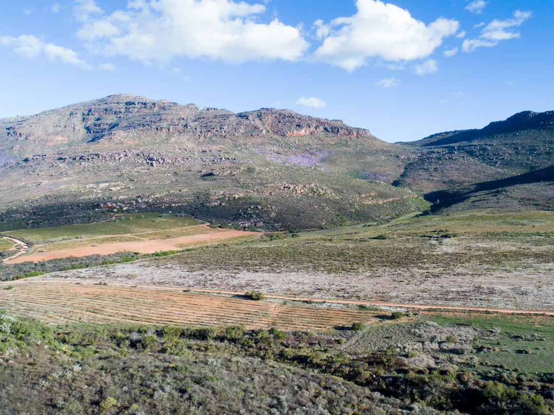 Skimmelberg Buchu & Rooibos Tours-Cederberg必去景点