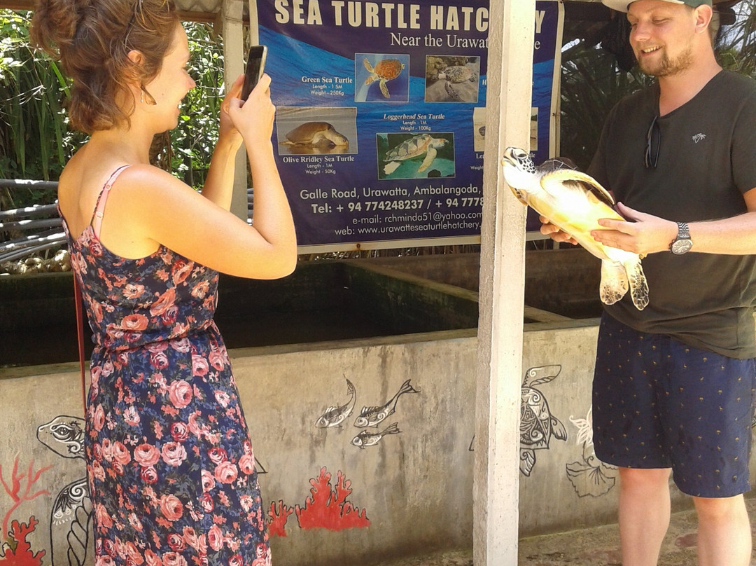 黑卡杜瓦海龟孵化场-希克杜沃必去景点