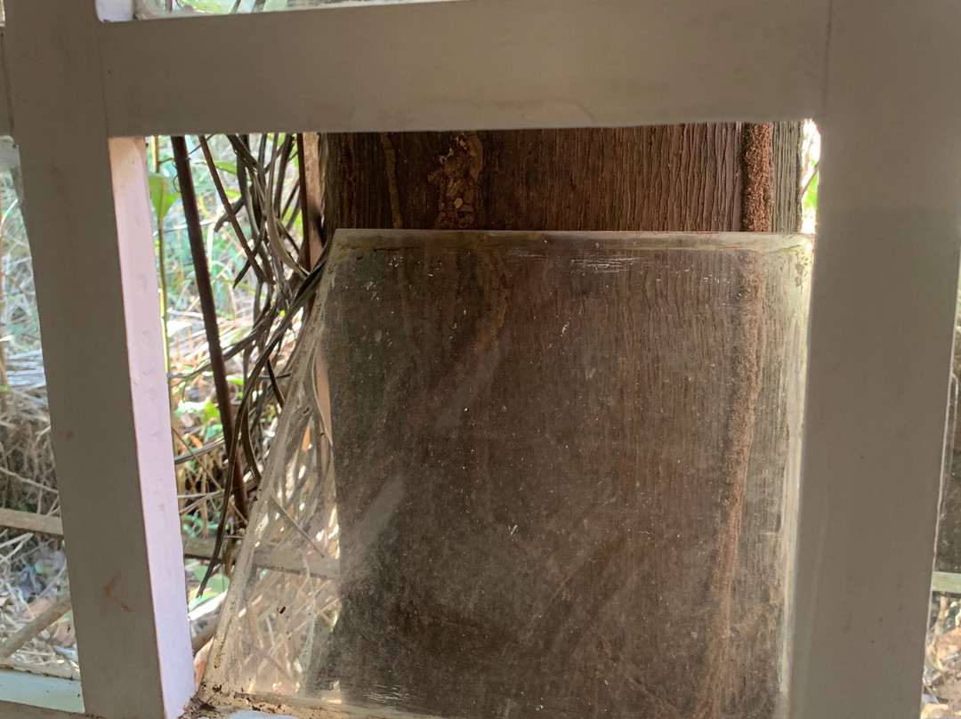 Porto Pousada Saco da Capela主图