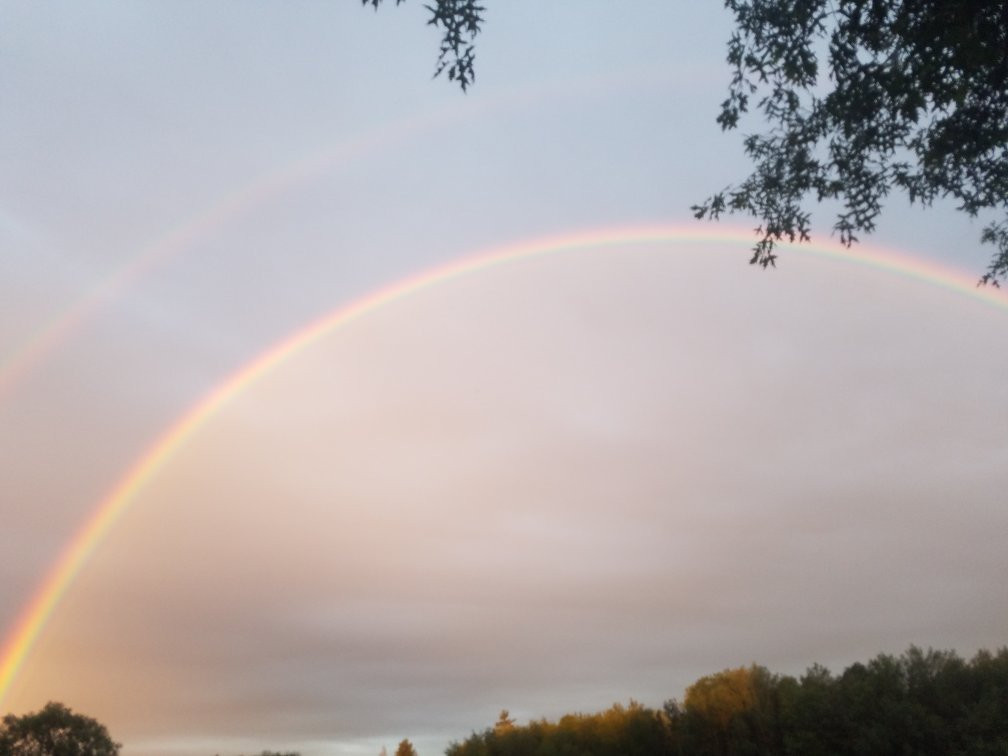 Rood Bridge Park-希尔斯伯勒必去景点