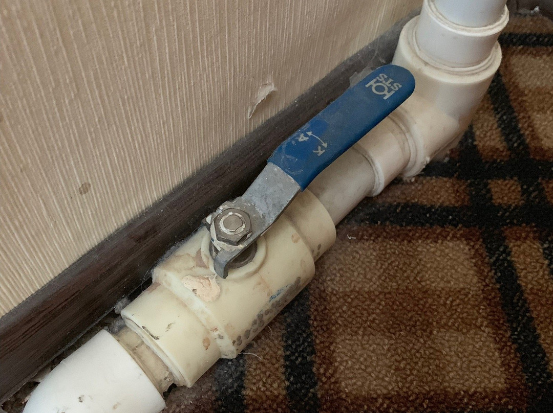 Albatros Hotel Complex主图