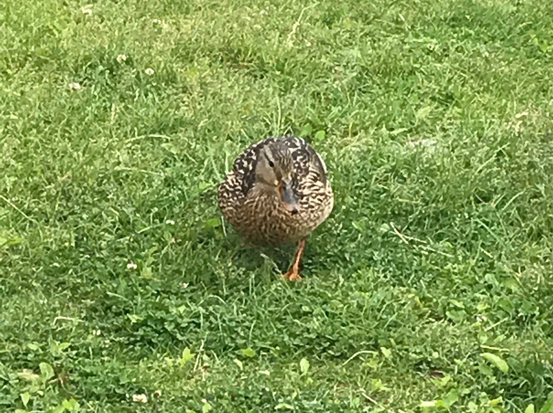 Flin Flon Wildlife Sanctuary-Flin Flon必去景点