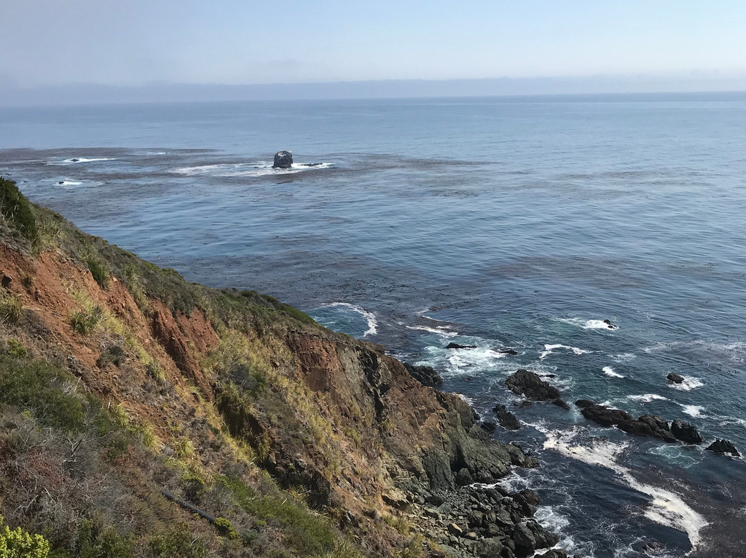 Pfeiffer Big Sur State Park-大苏尔必去景点