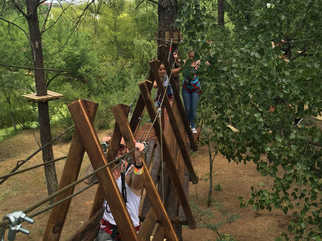 Tree Top Adventures景点图片