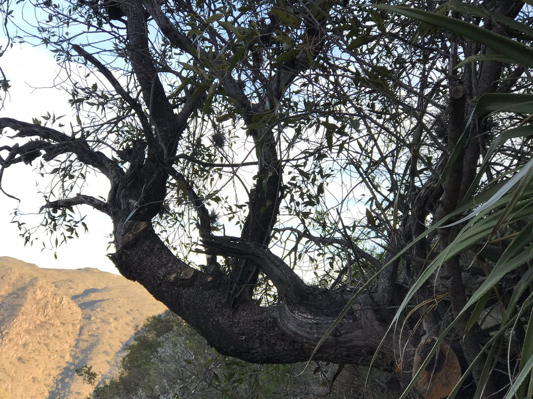 Hosteria Alta Montana主图