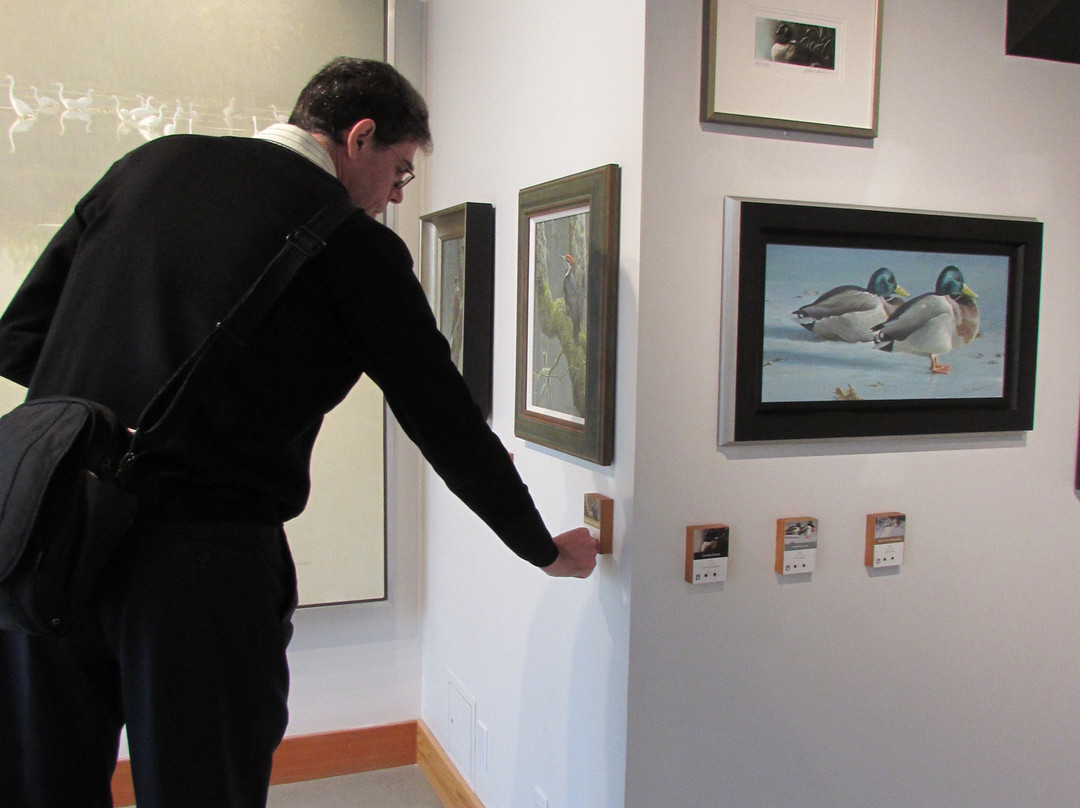 The Bateman Gallery-维多利亚必去景点