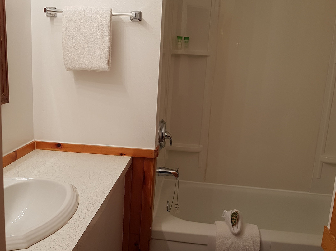 Dwight Village Motel主图