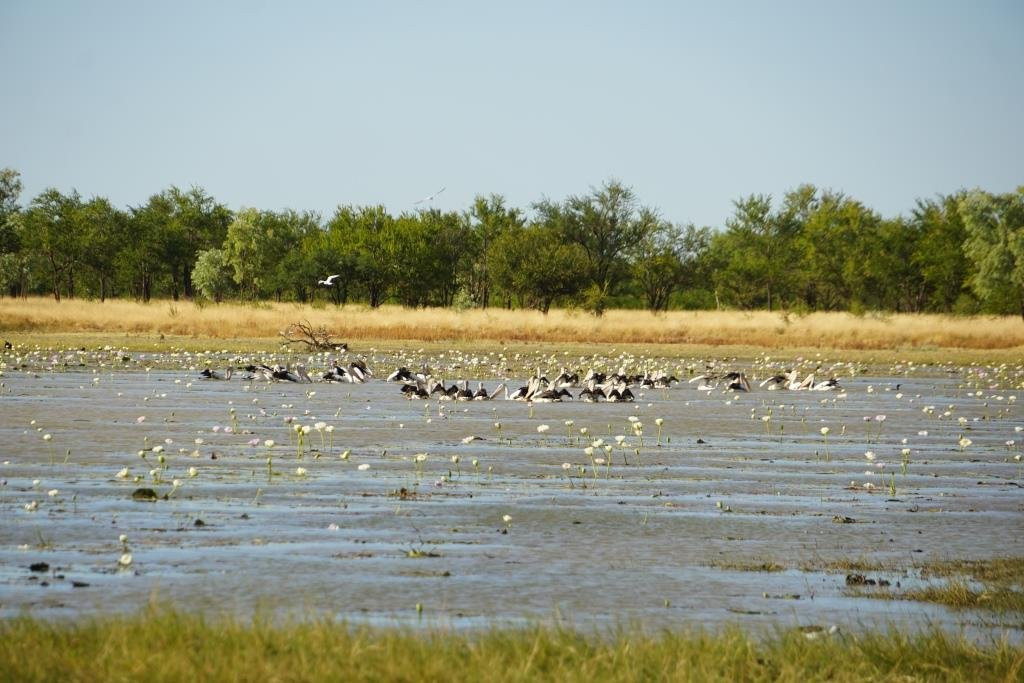 Mutton Hole Wetlands Conservation Park-Normanton必去景点