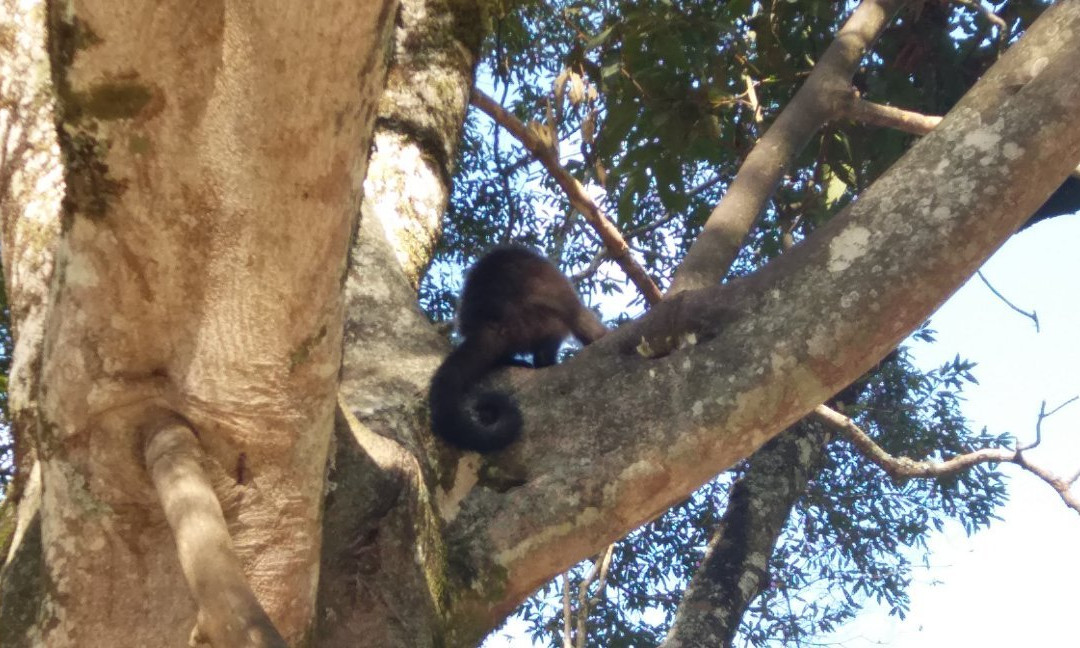 Fonte dos Desejos-Pocos de Caldas必去景点