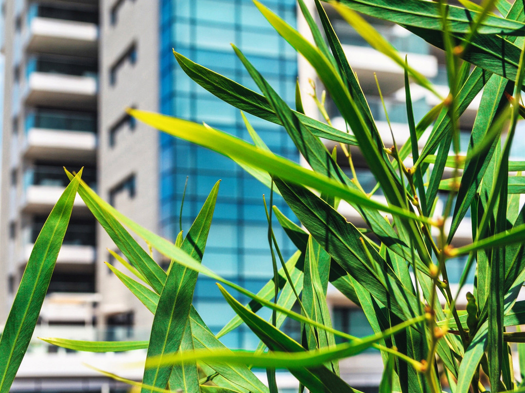 Olympic Residence Deluxe Apartments主图