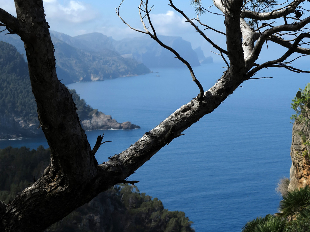 MA-10-Sol de Mallorca必去景点