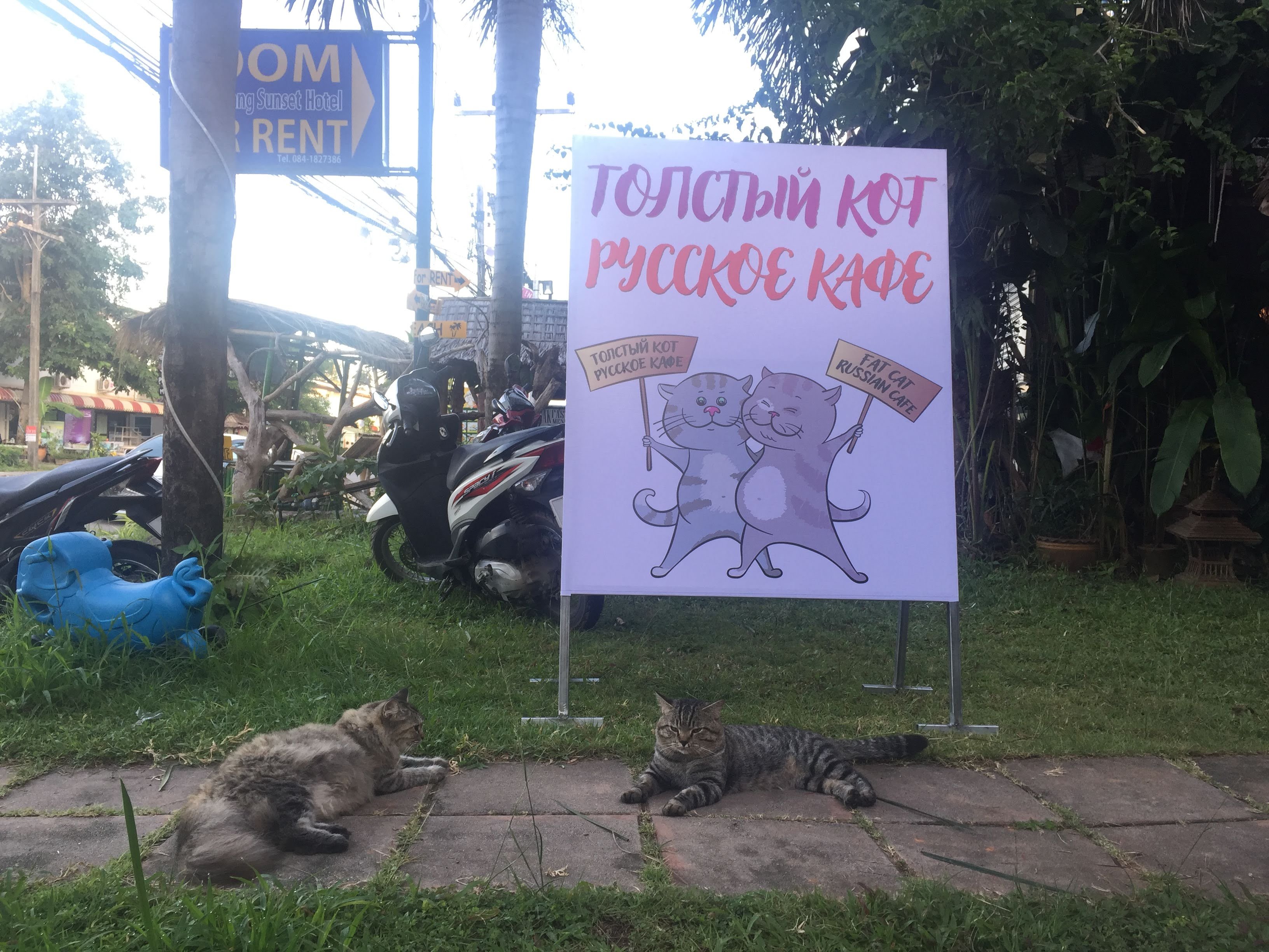 空芒日落之家酒店-官方