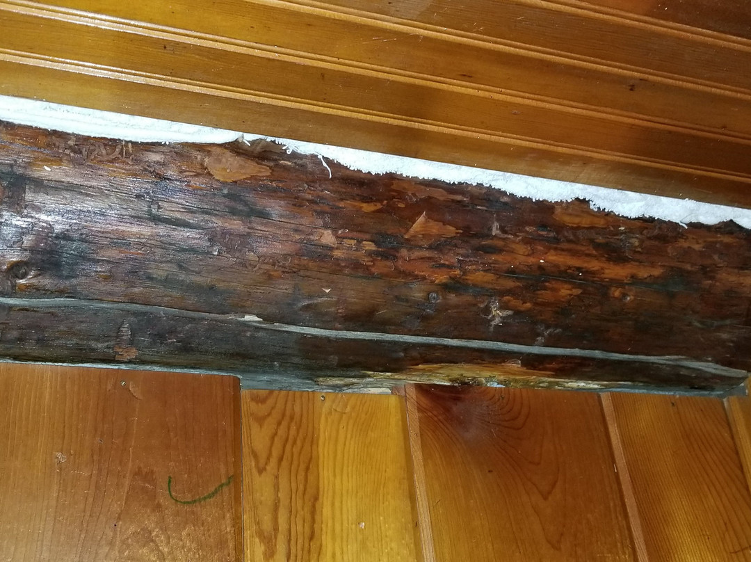 The Trail Shop Inn and Restaurant主图