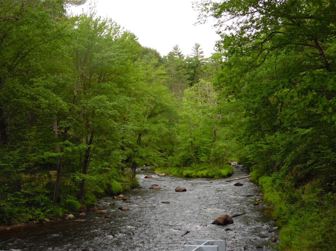 Profile Falls-Bristol必去景点
