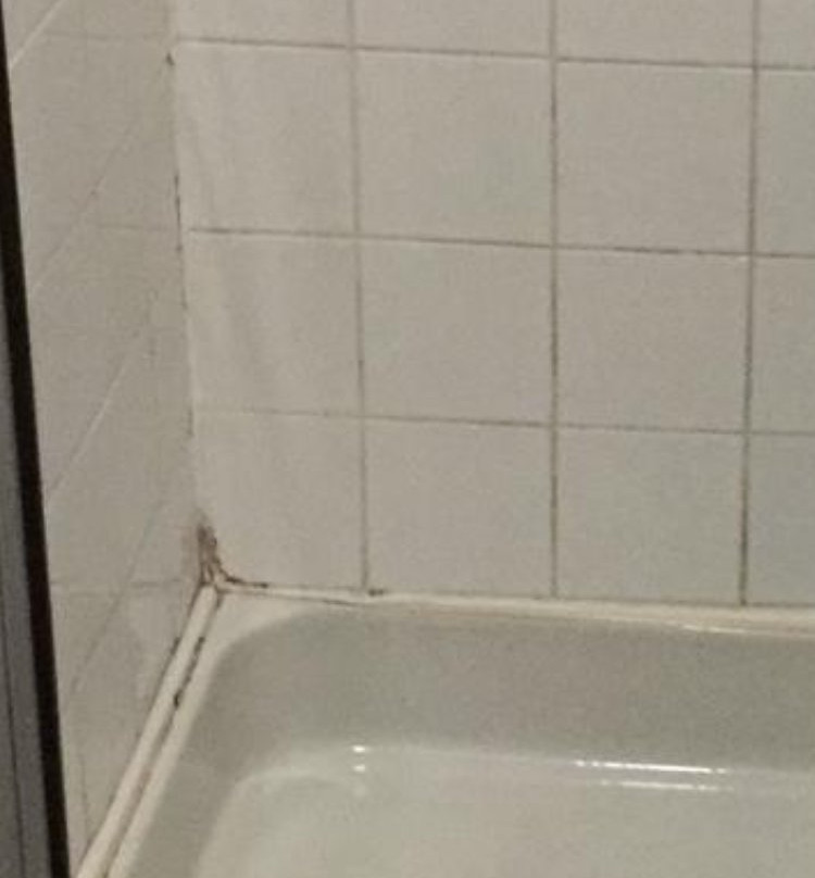 Cherwell Guest House主图