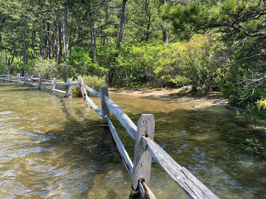 Great Pond景点图片