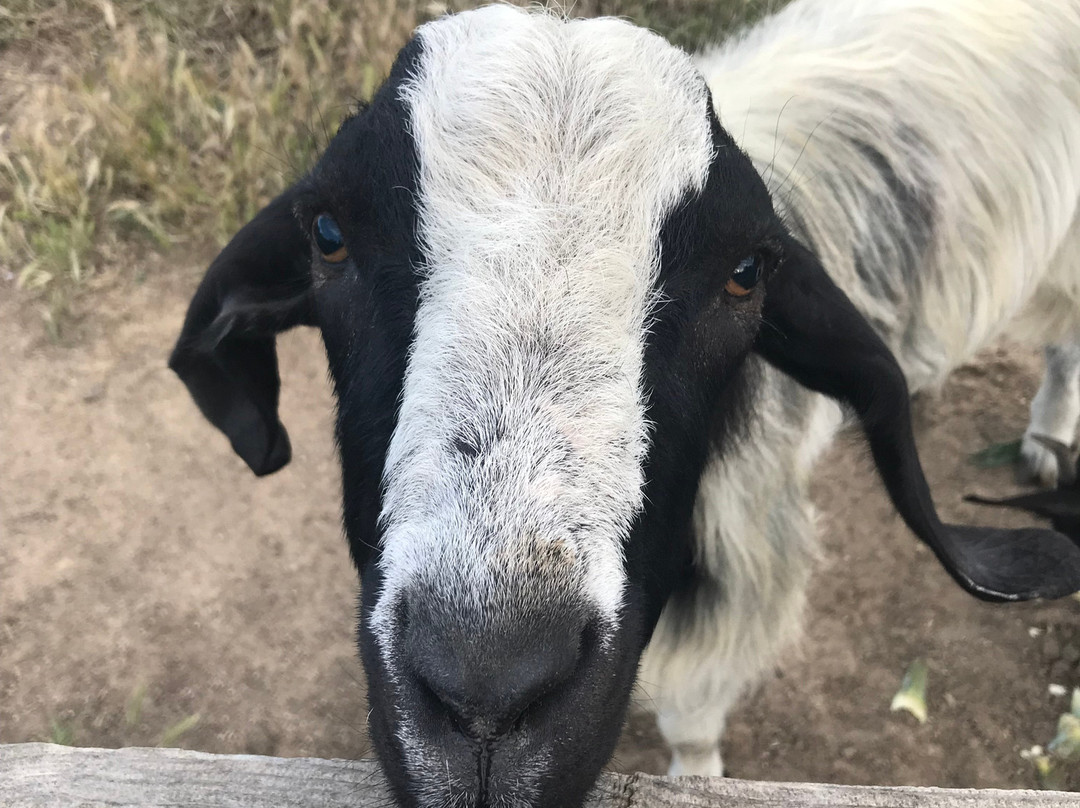 Soleluna Guest House主图