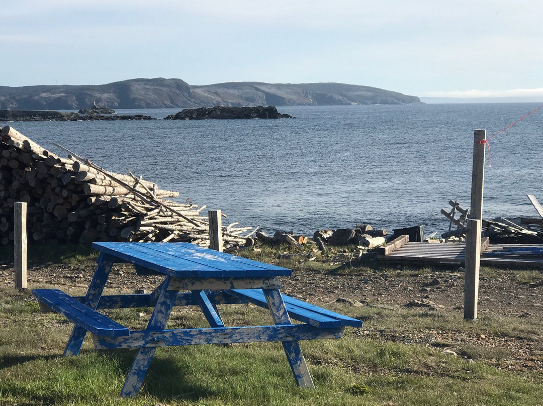 Butler's By The Sea Bed and Breakfast主图