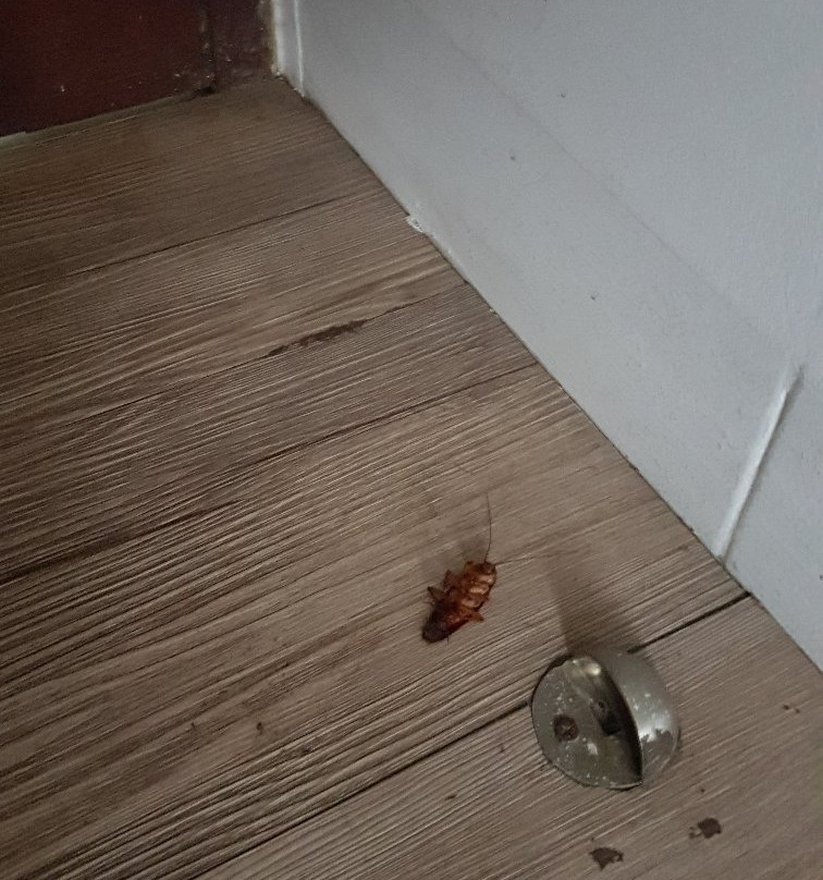 Niron Boutique Hotel主图