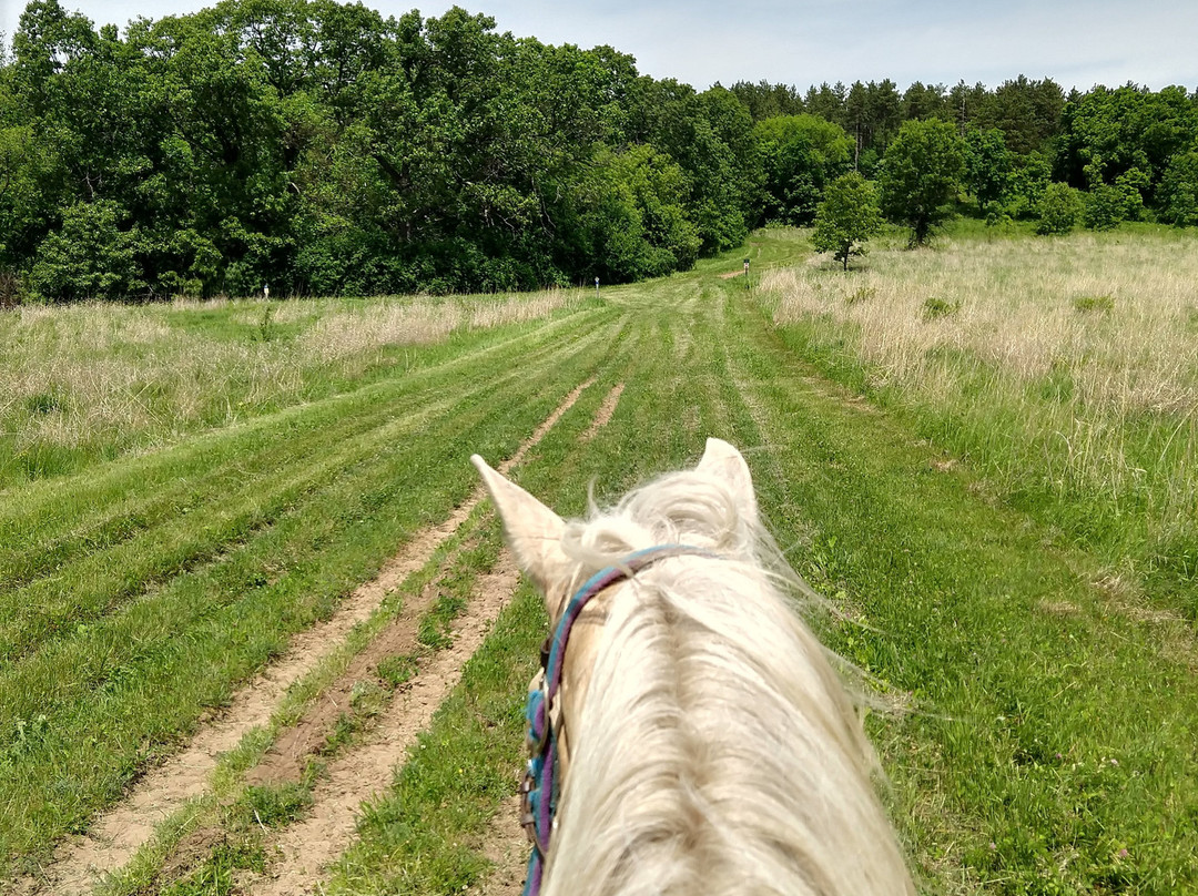 Wild 3L Ranch-Eagle必去景点