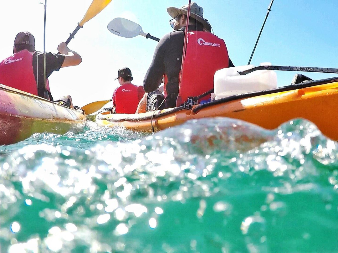 Bush to Coast Expeditions-黄金海岸必去景点