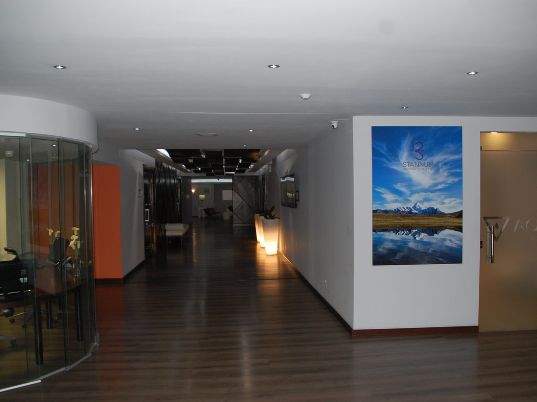 斯坦纳姆精品酒店主图