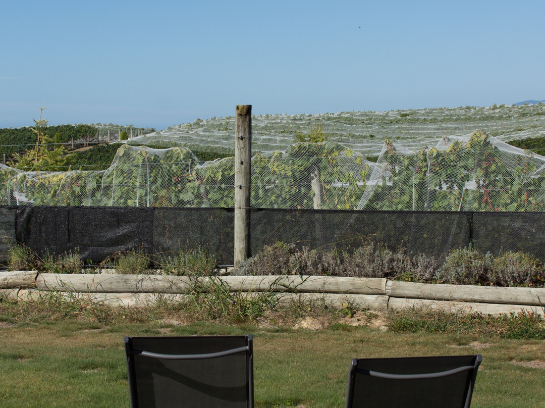 Pine Hill Lodge主图