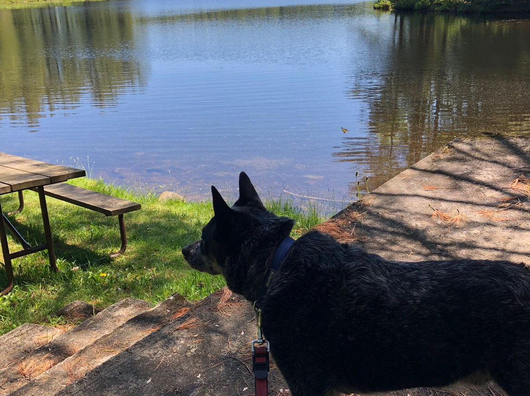 Lowell Lake State Park-Londonderry必去景点