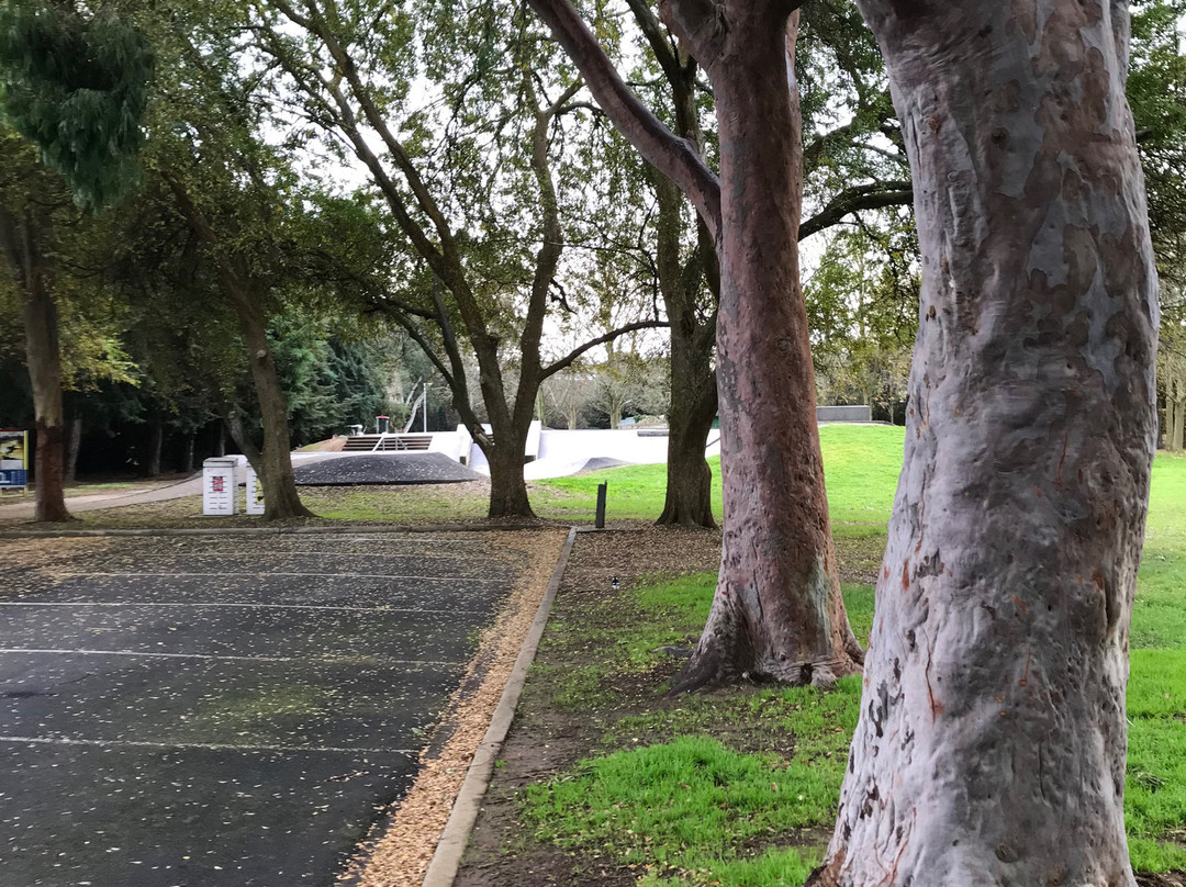 Burke St Park景点图片