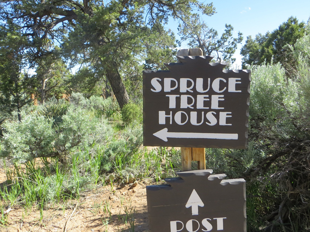 Spruce Tree House景点图片