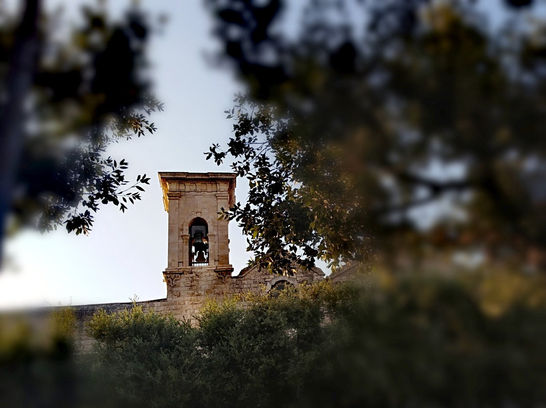 Chiesa Parrocchiale della Madonna Santissima del Carmine景点图片