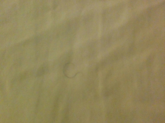 Travelodge by Wyndham Ozona主图