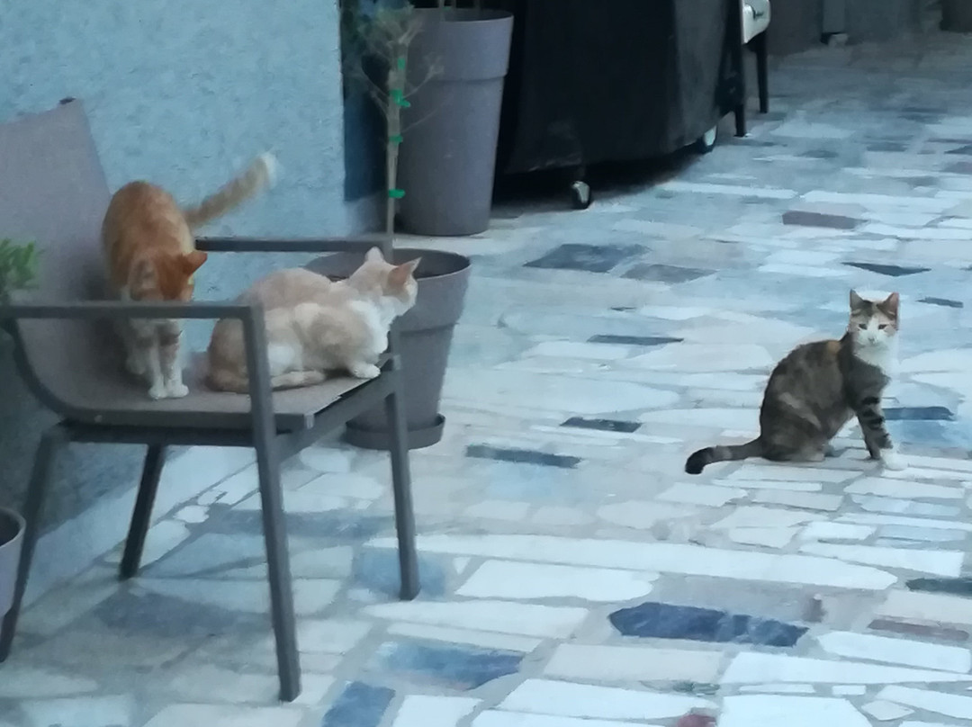 Oasis Scaleta Hotel主图