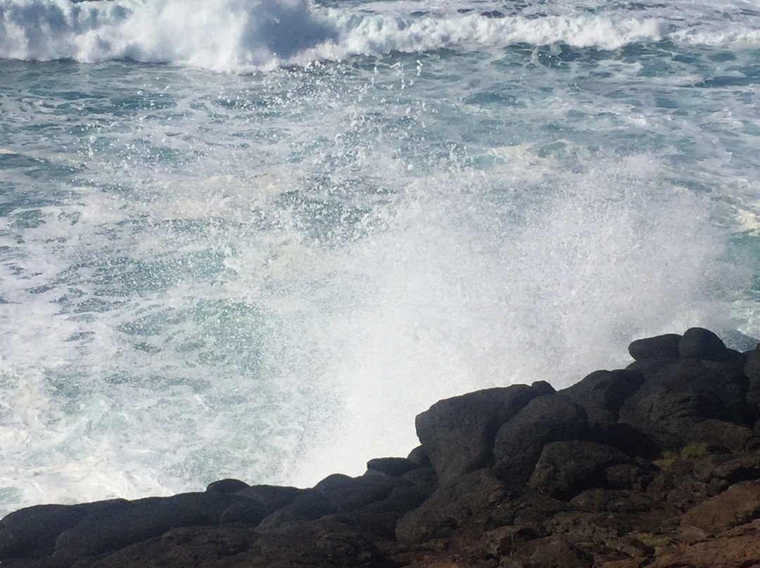 Fingal Head Lighthouse景点图片