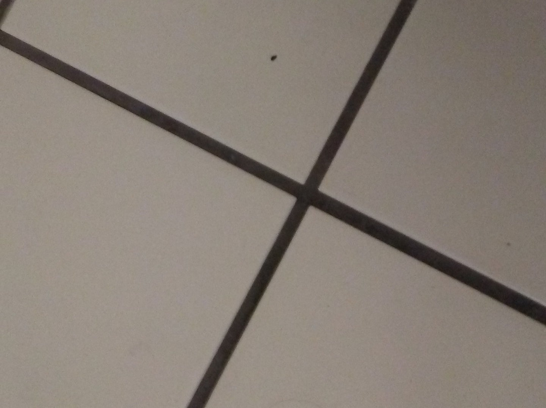 Quality Inn Los Lunas主图