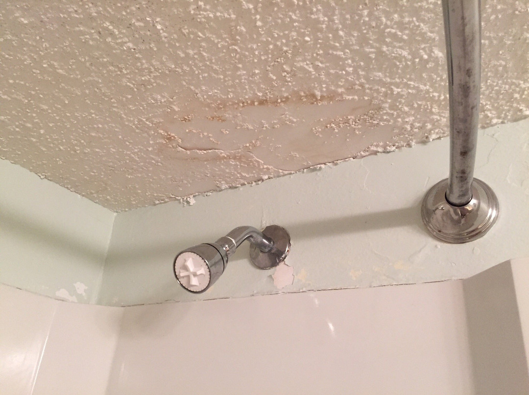 Englewood Beach and Yacht Club主图