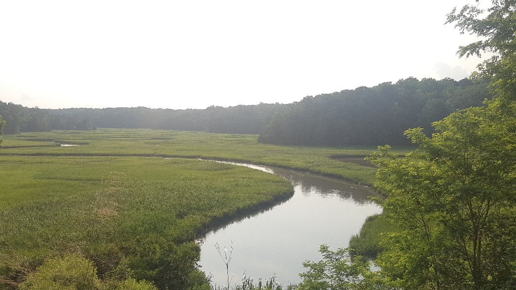 York River State Park-威廉斯堡必去景点