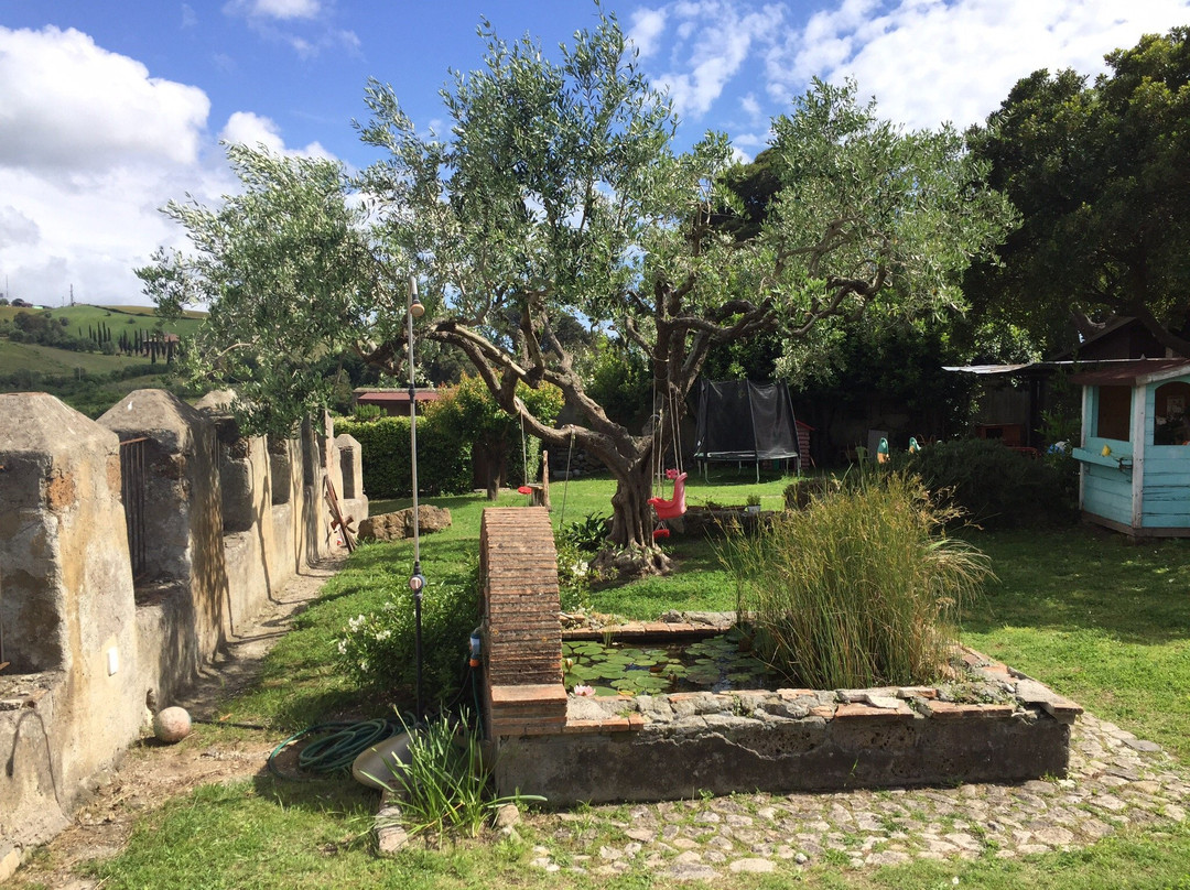 Borgo di Ceri B&B主图